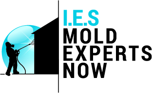 Avatar for MOLD EXPERTS NOW - Water damage cleanup